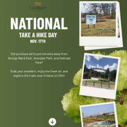 pictures on a green background