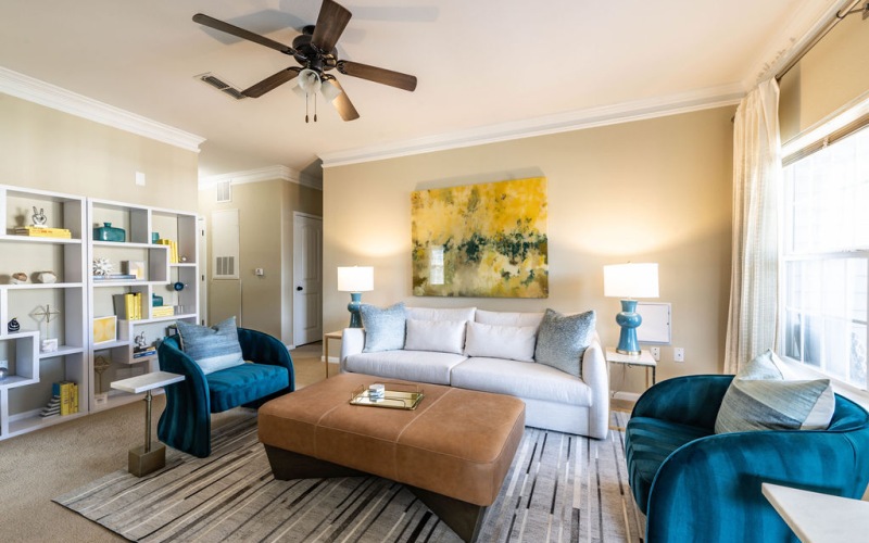 Apartment Features